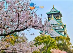 [HCM] Tour Nhật Bản Hành Trình Vàng Đẹp Nhất 2026